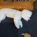 루이야학교가자 이미지