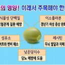 콩, 알면 건강이 보인다 이미지