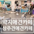 약지애견카페 이미지
