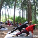 편백숲,쉼 이미지