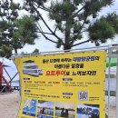 주식회사 요트탈래 이미지