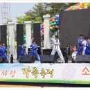 한체대국가대표태권도장 이미지