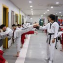 고려용호태권도 이미지