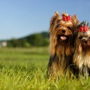 계산메디칼센터 이미지