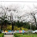 백구공원 이미지