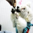 그리니스 체험후기~!!