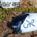 메인스트림실용음악학원