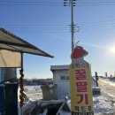 삼호리 | 로하스팜 / 음성 대소 딸기 농장 / 꿀 딸기 구매후기