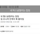까까바다 이미지