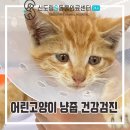 한주동물병원 이미지