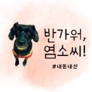 천안 뚜쥬루 빵돌가마마을 아이와 함께한 내돈내산 방문 후기