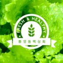 직거래야채