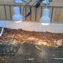 미어켓파크 이미지