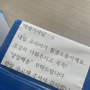 50일셀프촬영 예아스튜디오 핑크곰 내돈내산 이용후기