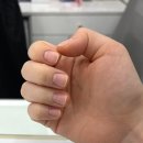 다나네일 이미지