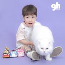 하나지에이치