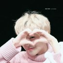 궁금해요 Daum카페