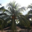 남평농장 이미지