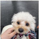 시화유치원 이미지