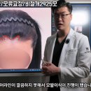 프로헤어라인 - 중랑구 | 프로헤어라인