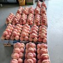 참새골농원 이미지