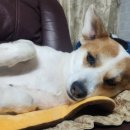 놀고 먹고 자개 이미지