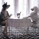 도시 강아지 이미지