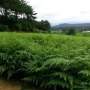 천선농장 이미지