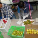 기현2농장 이미지