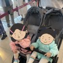 아기랑 제주도 2박 3일 일정 : 첫째날(김포-제주공항, 바다를본돼지, 협재해수욕장, 펠롱민박, 알다방)