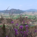 도치경로당 이미지