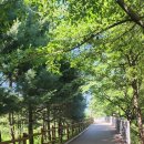 ​[분당 율동공원 황토길] 아이와 맨발걷기 후기! 주차 3시간 무료 꿀팁까지 (feat. 세족장 준비물)