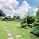 동읍1272 이미지