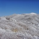 전북 남원 지리산 바래봉(1165m) 눈꽃산행 이미지