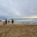 샌드비치 이미지