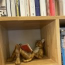 혜화마을 북카페 이미지