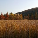 노작근린공원 이미지