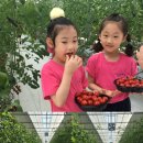 키즈아이원어린이집 이미지