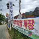 장암꽃단지 구경하고 연필선인장 청산호 다육이도 데려왔어요~