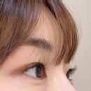 안양시율목종합사회복지관 | 👁 안양 속눈썹연장 엘뷰티끄 블랙그라마 재방문 후기✨