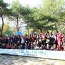 고양화전31 이미지