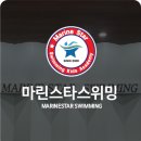 마린스타스위밍 이미지