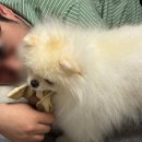 UR(오산시)-[내삼미로]-하-2 | E0.6) ~25.11.9 결혼 너무 힘들어ㅠ!!