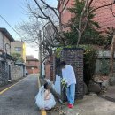 티랩스튜디오 시그니처 서초점 | 헤이허니 스튜디오 서초 1호점, 2호점 총정리｜실제 촬영 스팟 사진 모음