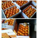 지영이네농장 이미지