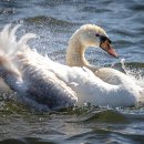 흙으로 예술 만들기 이미지