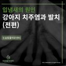 이천종합동물병원 이미지