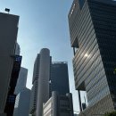 피에스팜 | 싱가포르 출장 기록 2 [ 하이브 / the interlace condo / 뎀시힐 / PS Cafe / Pinnacle@Duxton / 팜비치...