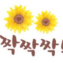 태화인천노인복지센터 이미지