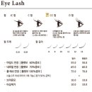 뷰티해빛